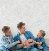 نمونه اجرا شده کاغذدیواری پتینه کد 8079