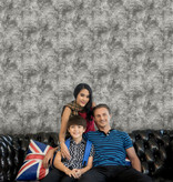 کاغذ دیواری بتن آلبوم راکتور