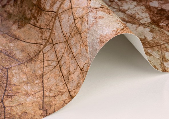 کاغذ دیواری طرح برگ کد ۸۱53